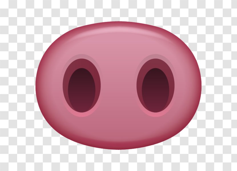 Pig Potenza Nose Snout Drawing - Eye Transparent PNG