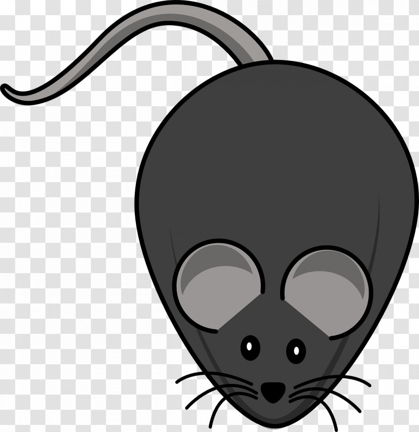 Mickey Mouse Minnie Clip Art - Animation - Rat Transparent PNG