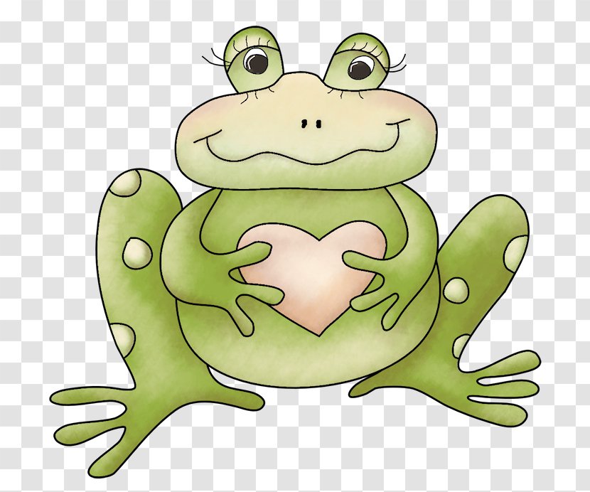 Frog Post Cards Amphibians Toad Image - Gray Treefrog Transparent PNG
