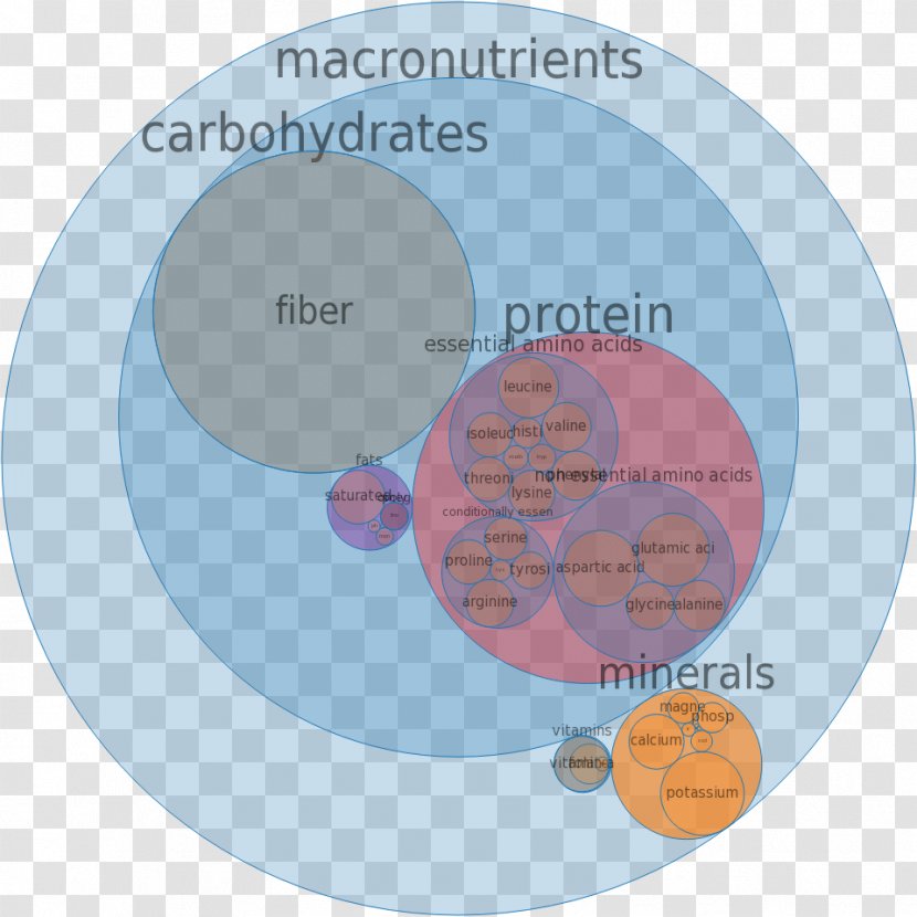 Fast Food Micronutrient Nutrition - Text - Health Transparent PNG