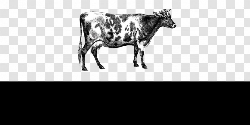 Cattle Livestock Paper Drawing Farm - Monochrome Photography - Tunja Transparent PNG