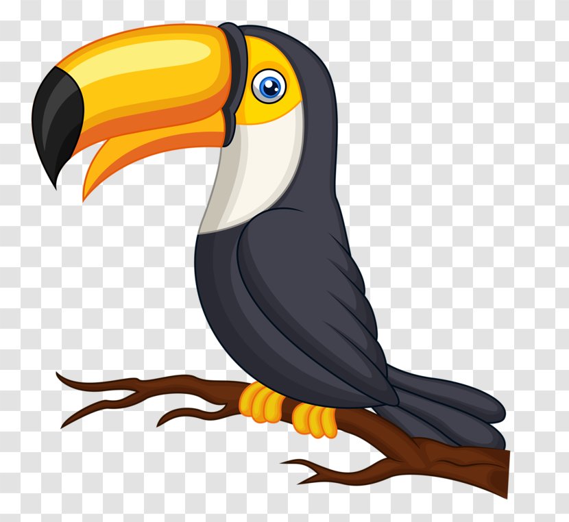 Bird Parrot Toco Toucan Clip Art - Toucanet Transparent PNG