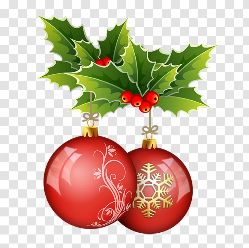 Christmas Ornament Common Holly SO2 Distribuzione Vini Naturali Carol - Red Transparent PNG