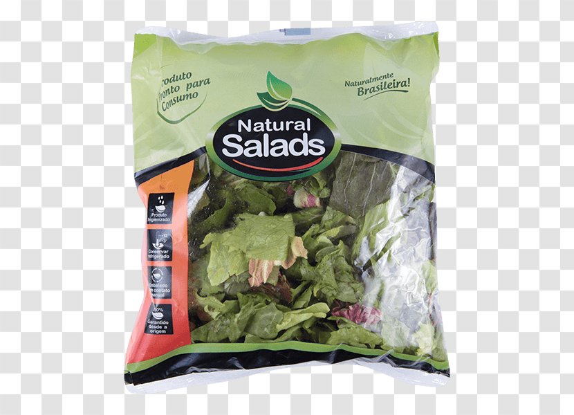 Romaine Lettuce Cocido Vegetable Vegetarian Cuisine Sofrito - Spring Greens Transparent PNG
