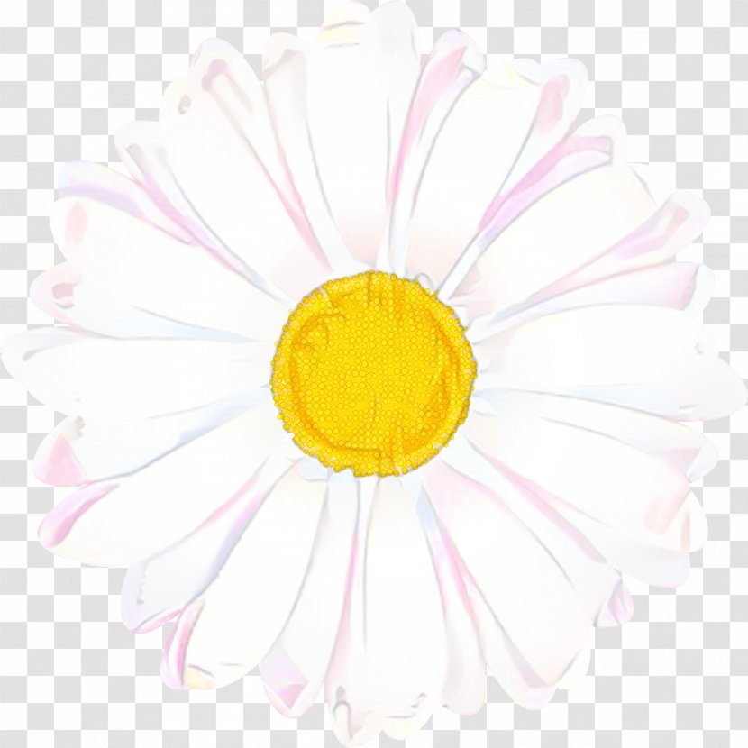 Flowers Background - Chamomile - Smile Wildflower Transparent PNG