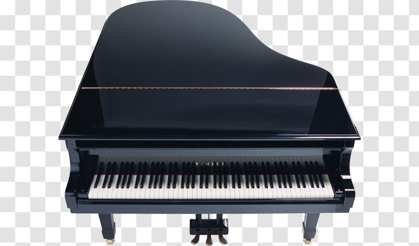 Grand Piano Musical Keyboard Clip Art - Tree Transparent PNG