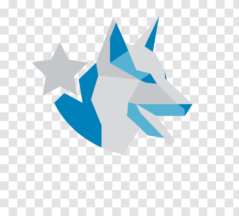 Shiba Inu Batiscan Caninae Pet Sports - Star Transparent PNG