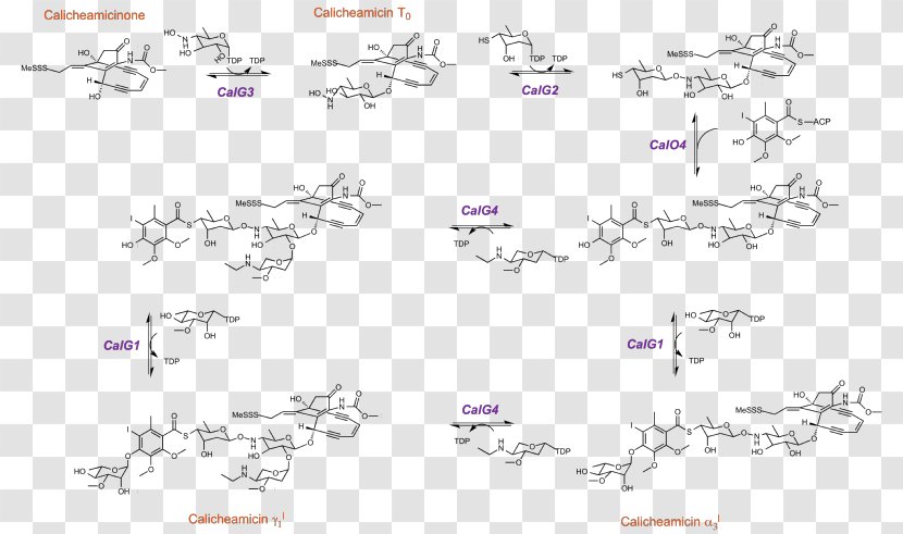 Block Copolymers Peptide Ring-opening Polymerization - Cationic - Pathway Transparent PNG