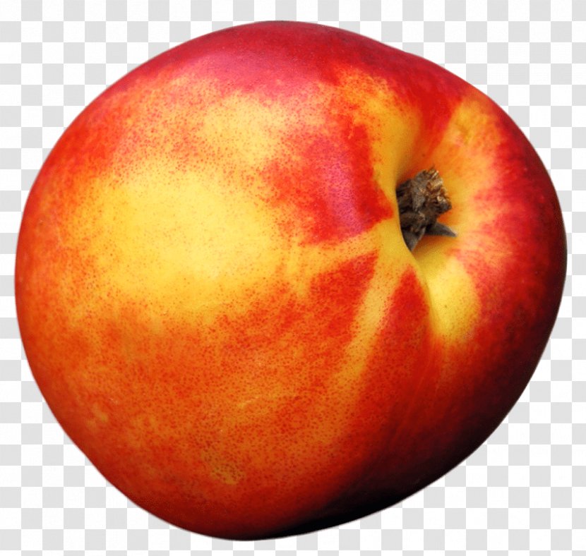 Peach Fruit Transparent PNG