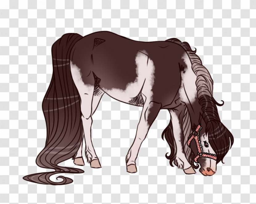 Pony Mustang Foal Stallion Colt - Horse Tack Transparent PNG