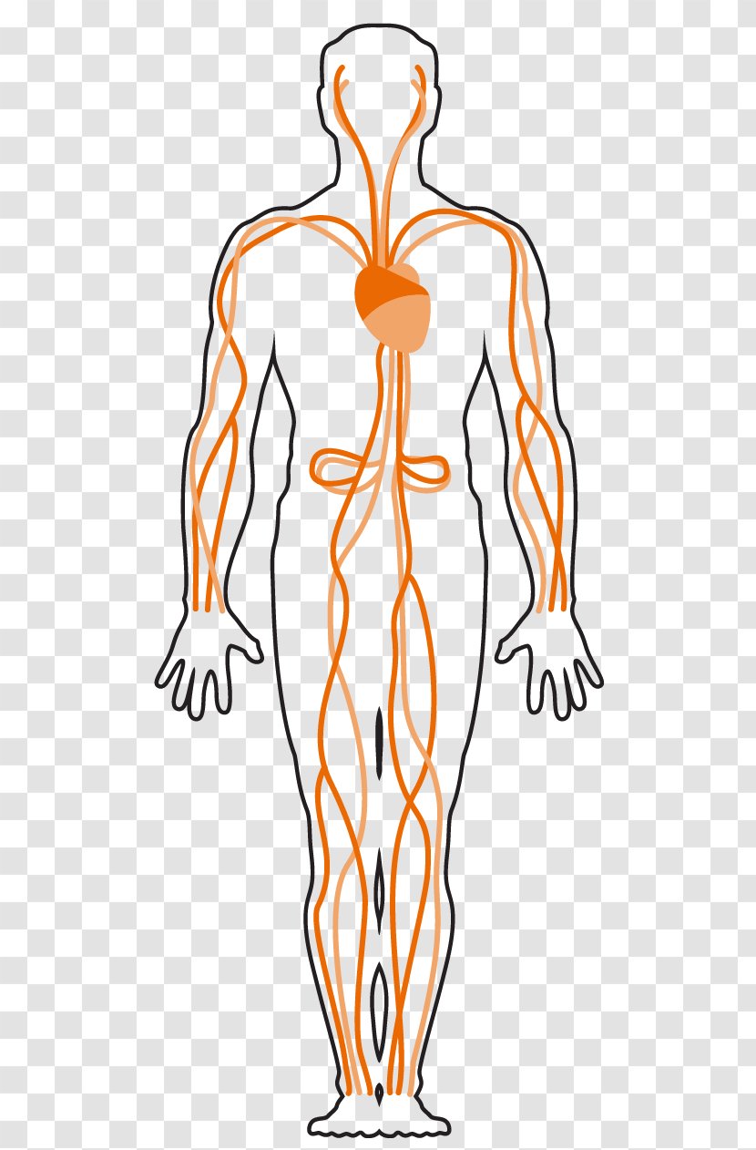 Finger Respiratory System Human Body Muscle Asphyxia - Cartoon - Chemical Weapon Transparent PNG