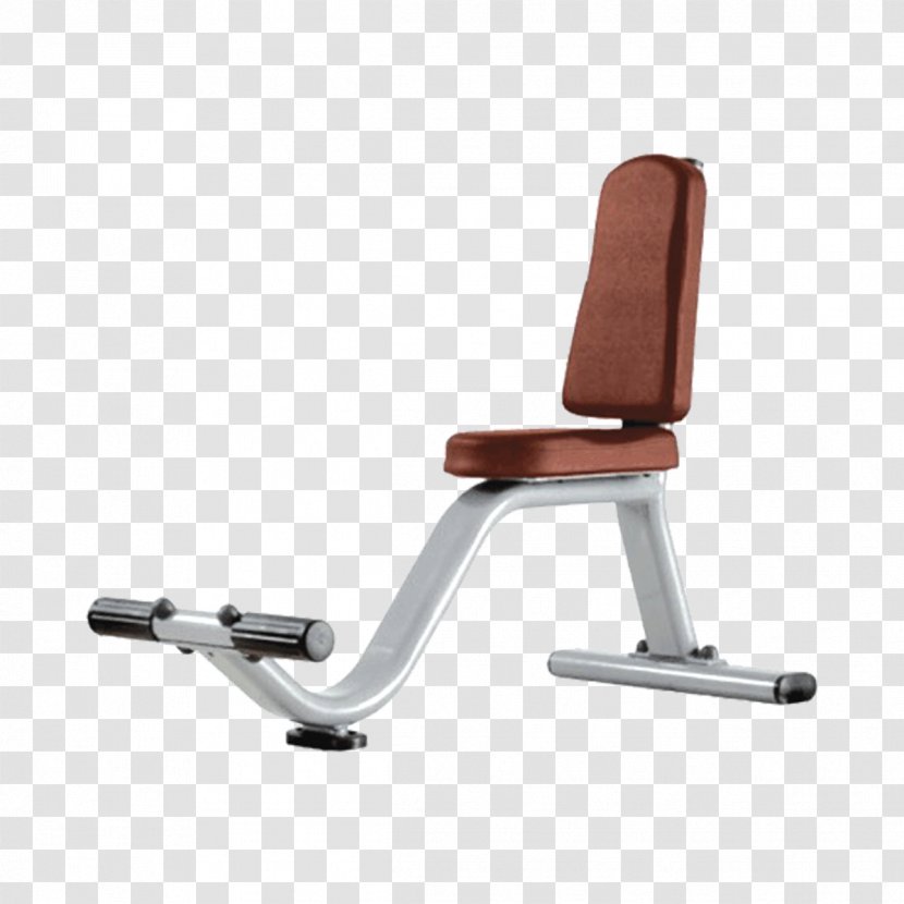 Bench Exercise Machine Fitness Centre Equipment - Strength Training - Barbell Transparent PNG