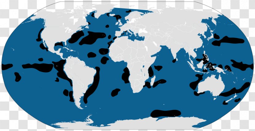 Globe World Map Cartography - Royaltyfree Transparent PNG