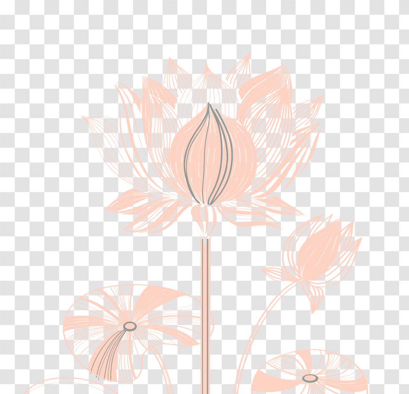 Floral Design Petal Pattern - Floristry - Creative Line Drawing Lotus Transparent PNG