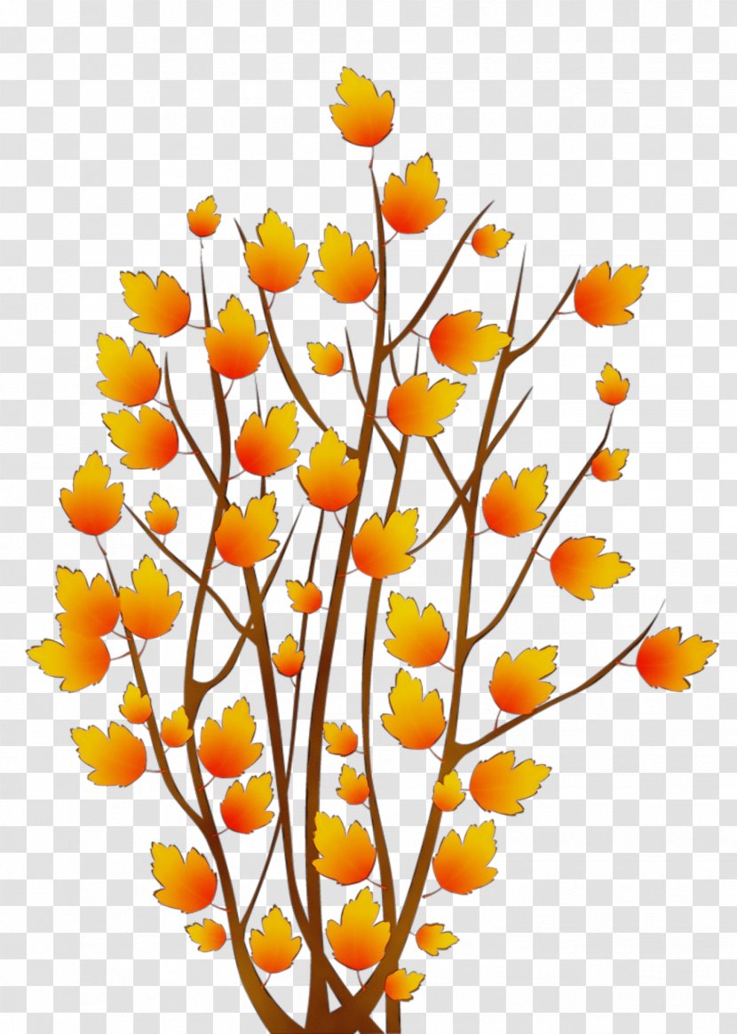 Orange - Paint - Plant Stem Twig Transparent PNG