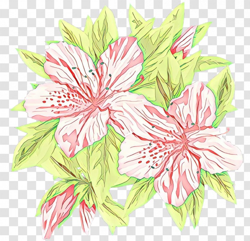Flowers Background - Rosemallows - Hibiscus Plant Transparent PNG