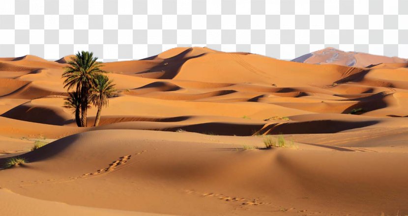 Sossusvlei Libyan Desert Dune Landscape - Erg - Beautiful Transparent PNG