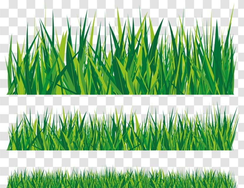 Royalty-free Clip Art - Royaltyfree - Grass Background Transparent PNG