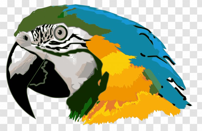 Parrot Bird Blue-and-yellow Macaw Clip Art - Hyacinth Transparent PNG