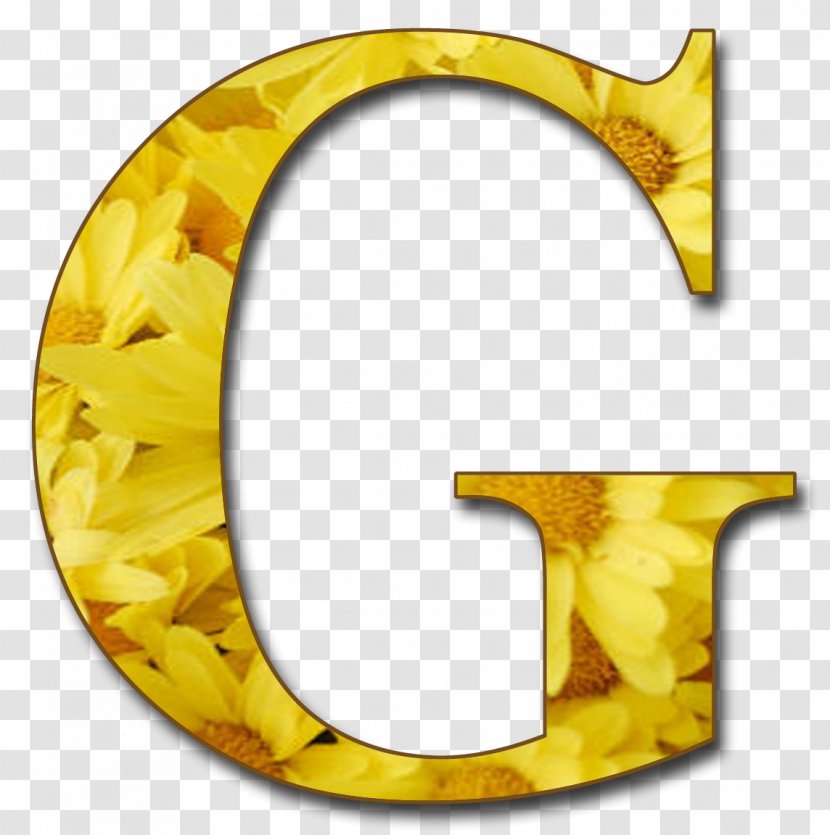 Letter Case G Alphabet O Transparent PNG