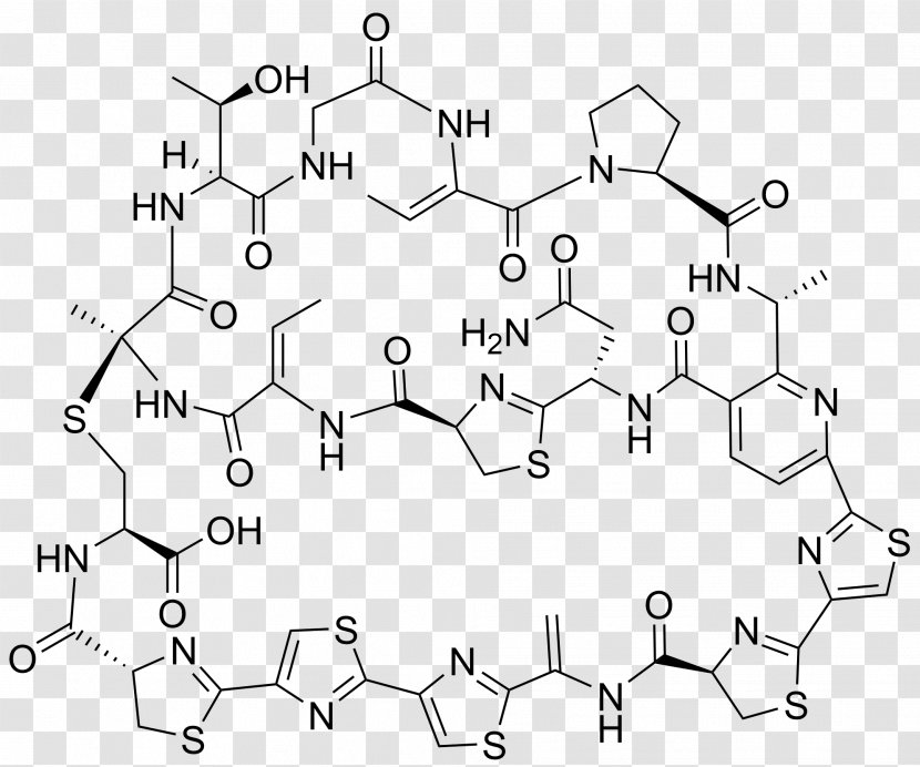 Cyclothiazomycin Thiopeptide Chemistry Streptomyces /m/02csf - Flower - Watercolor Transparent PNG