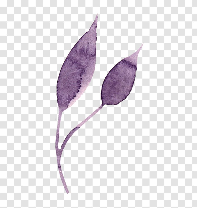 Purple Leaf Petal - Flower - Leaves Transparent PNG