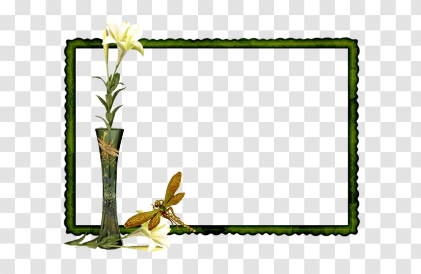 .de Picture Frames Clip Art - Plant Stem - Rectangle Transparent PNG