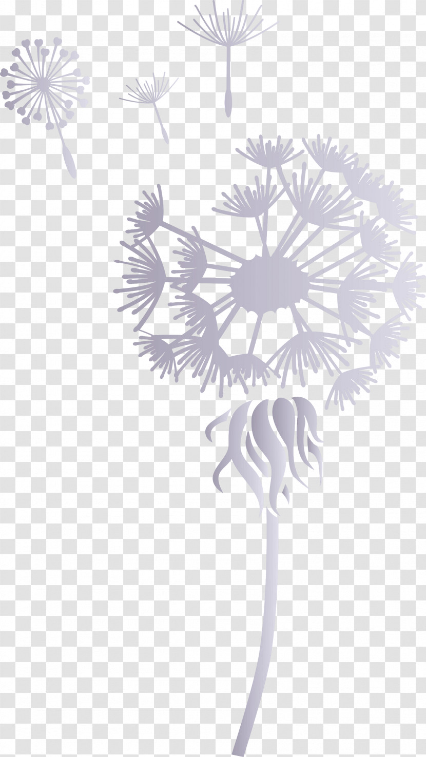 Dandelion Transparent PNG