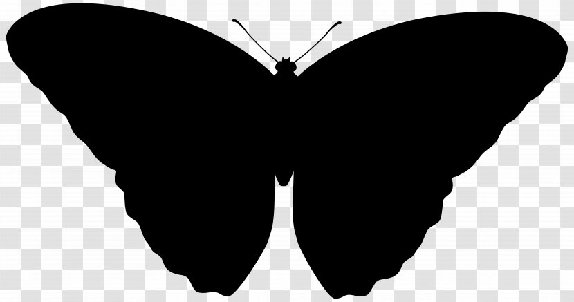 Brush-footed Butterflies Font Silhouette M. Butterfly - Insect - Blackandwhite Transparent PNG