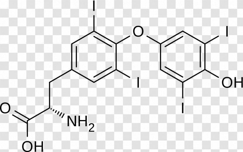 Thyroid Hormones Pharmaceutical Drug Chemical Compound Desiccated Extract - Hormone - Thyroidstimulating Transparent PNG