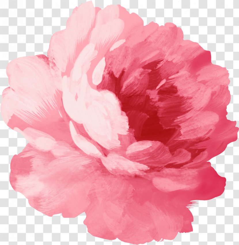 Sticker Pink Flowers Wall Decal - Plant - Peony Transparent PNG