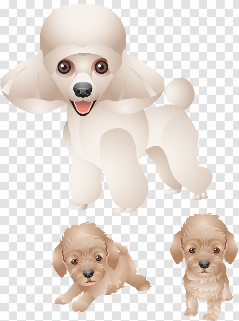 Poodle Dog Breed Puppy Companion Clip Art Clipart Transparent Png