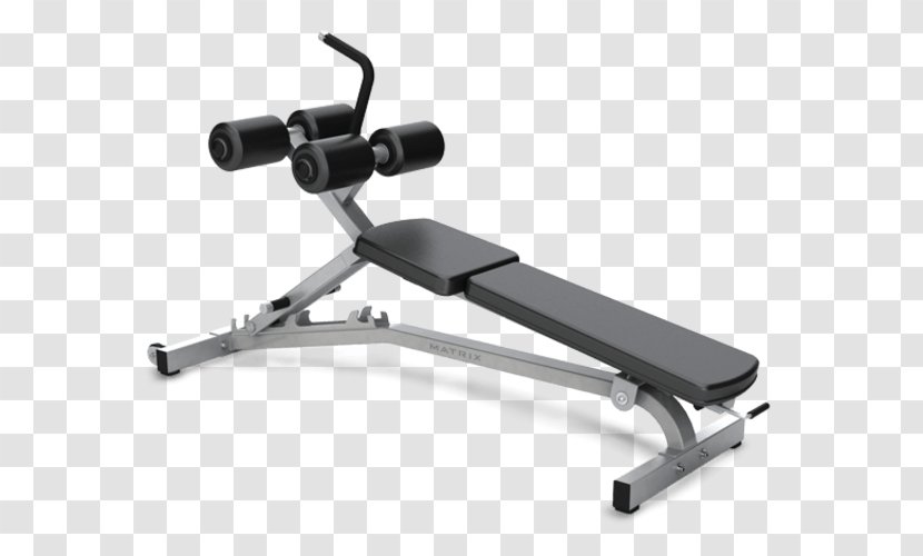 Bench Exercise Equipment Weight Training Fitness Centre Johnson Store Hellas - Strength Transparent PNG