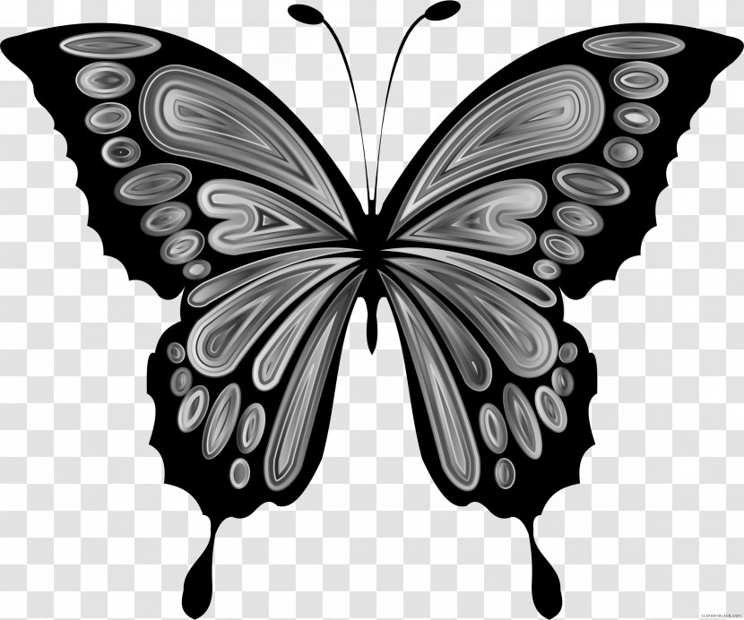 Butterfly Clip Art Insect Openclipart Image - Flower Transparent PNG