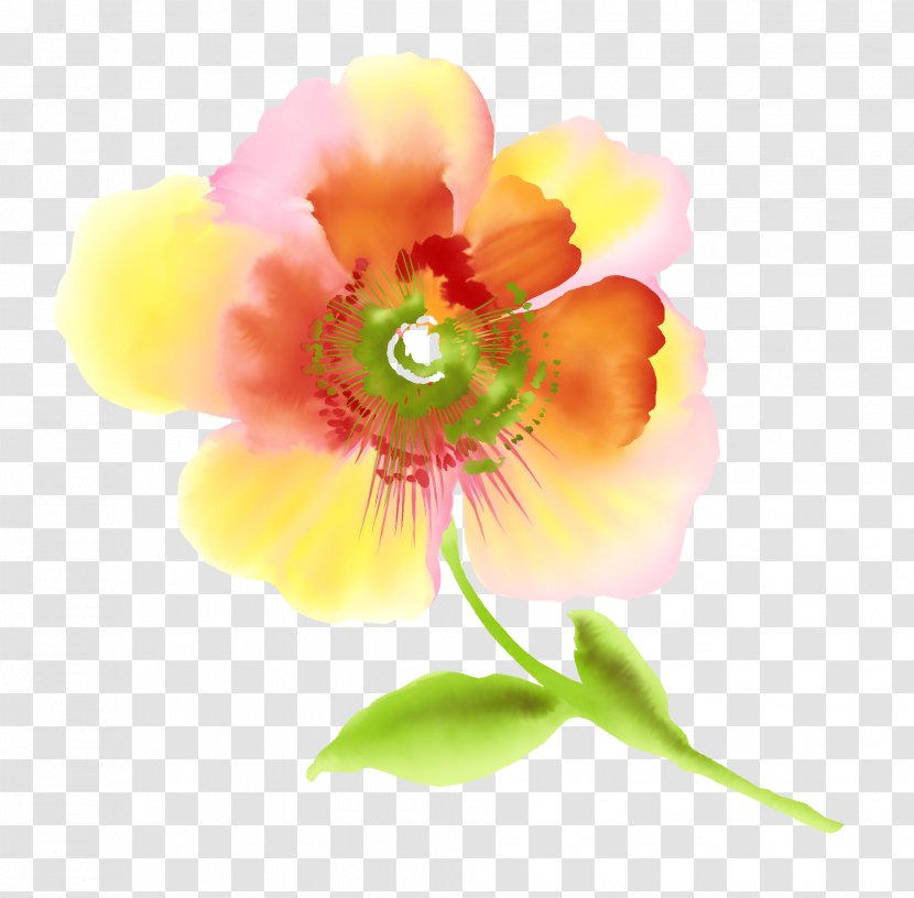 The Scarlet Flower Drawing Clip Art - Petal - Cartoon Flowers Transparent PNG