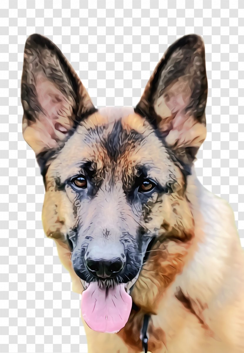 Cute Dog - Police - Shiloh Shepherd Transparent PNG