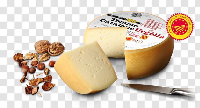 Milk Parmigiano-Reggiano Cheese Butter Alt Urgell Eta Cerdanyako Gazta - Buttermilk Transparent PNG