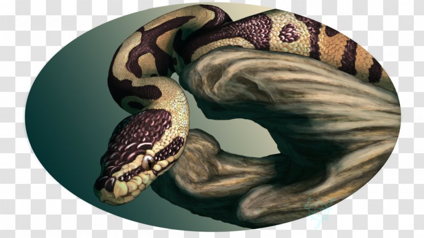 Boa Constrictor Drek'Thar Ball Python Serpent Art - Vertebrate Transparent PNG