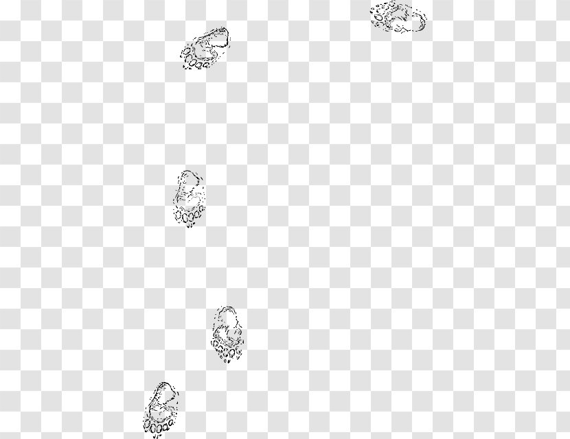 Bear Clip Art Footprint Animal Track Vector Graphics - Paw Transparent PNG