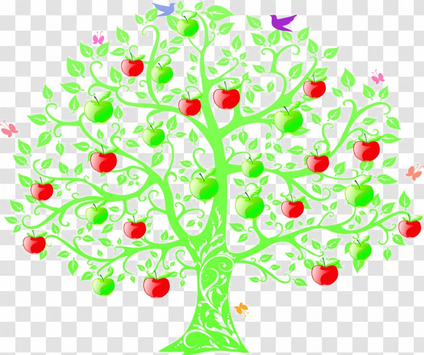 Teacher Student Fruit Tree Zazzle - Woody Plant - Painted Apple Transparent PNG