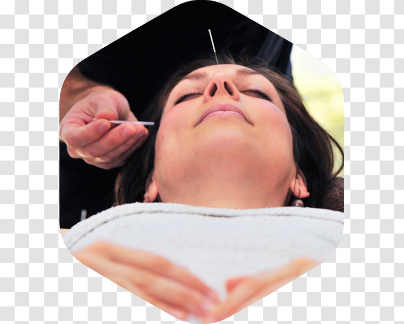 Arbour Acupuncture Chin Cheek Bodywork Transparent PNG