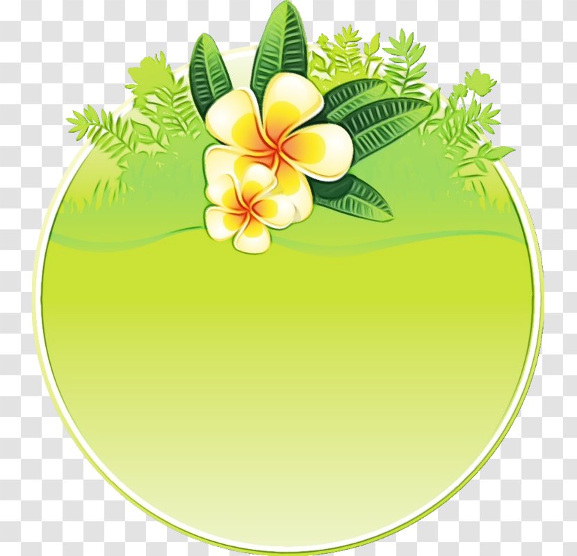 Watercolor Flower Background - Fruit - Hibiscus Transparent PNG