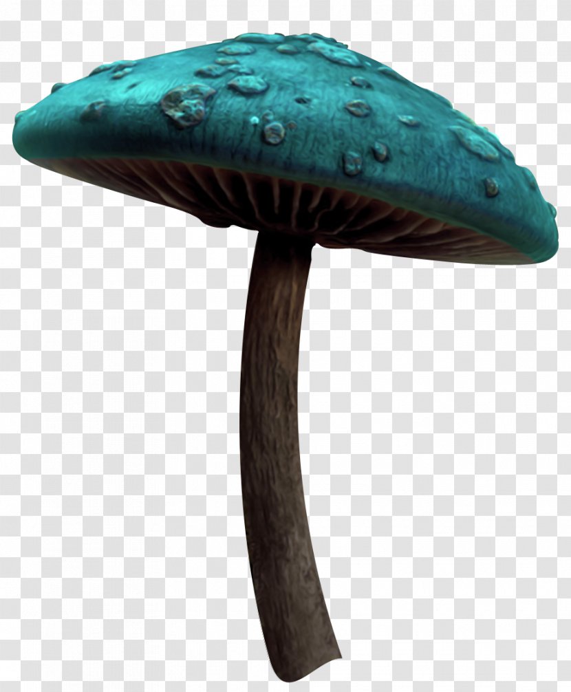 Mushroom - Data - Fairy Tale Transparent PNG