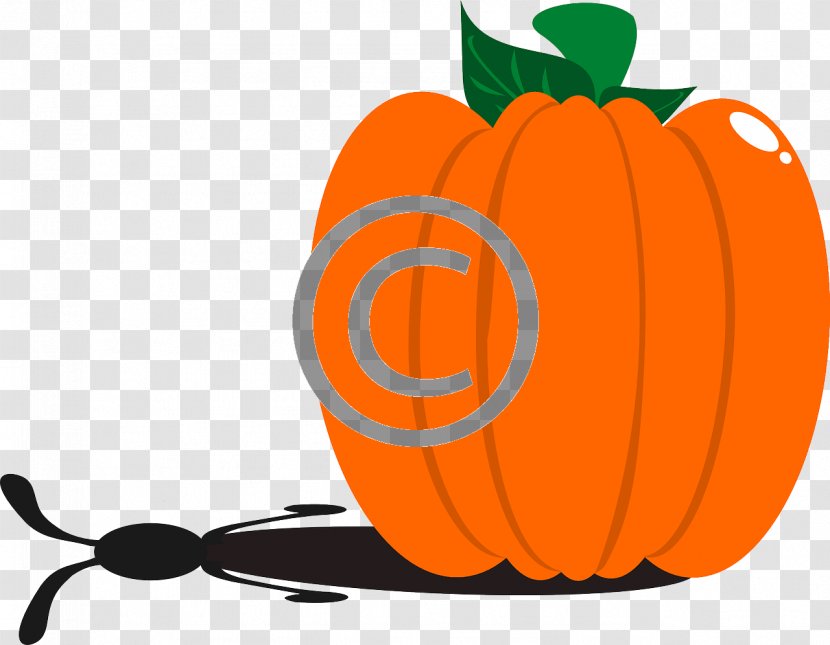 Pumpkin Pie Clip Art - Food Transparent PNG