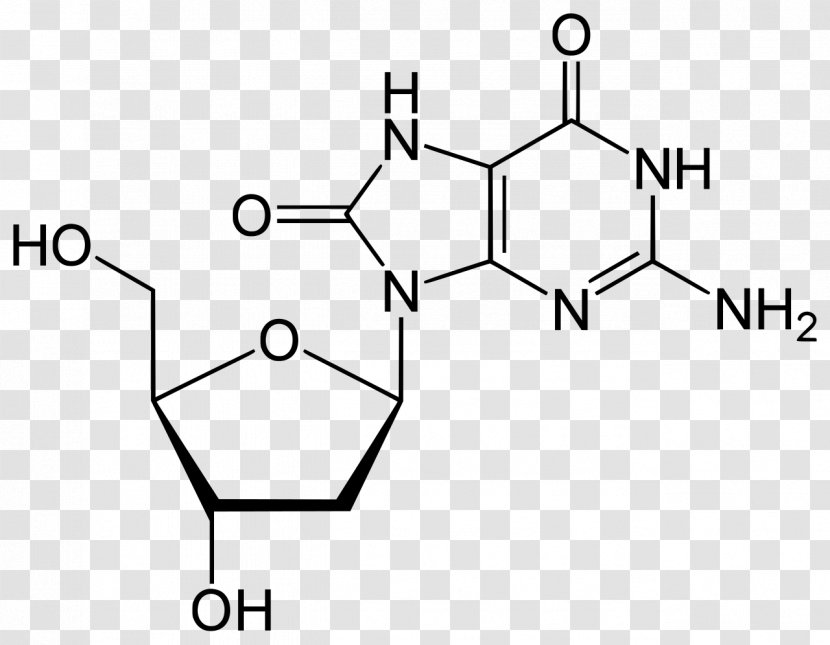 Purine Uric Acid Nucleic Adenine - Cartoon - Flower Transparent PNG