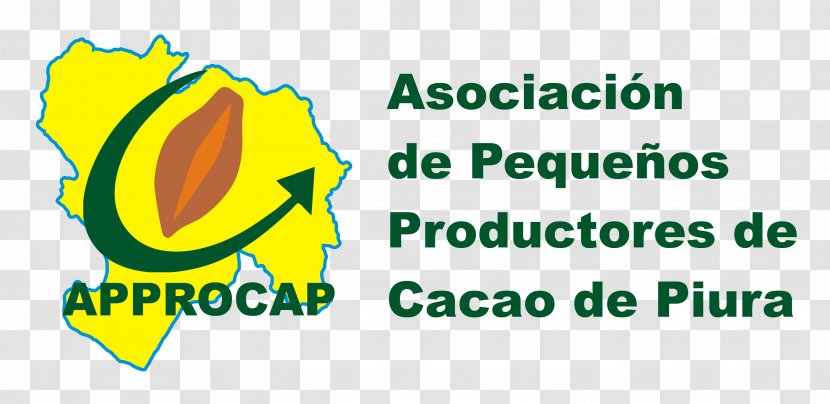 Piura Chocolate Criollo Tree Cacao Arriba - Brand Transparent PNG