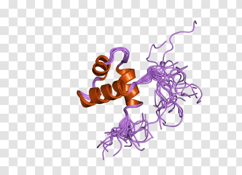 MYBL2 Organism Gene Font - Protein - Text Transparent PNG