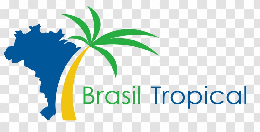 Flag Of Brazil Map Transparent PNG