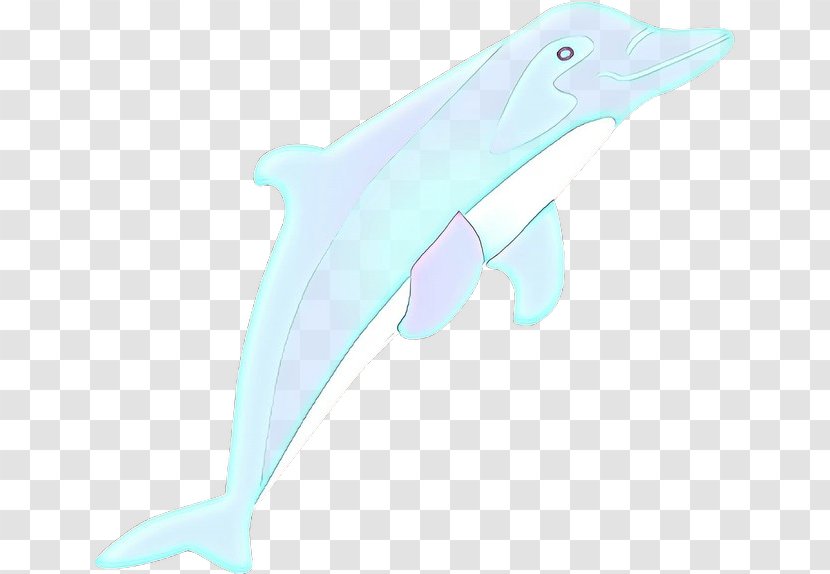 Bottlenose Dolphin Fin Marine Mammal Cetacea - Wholphin Shortbeaked Common Transparent PNG