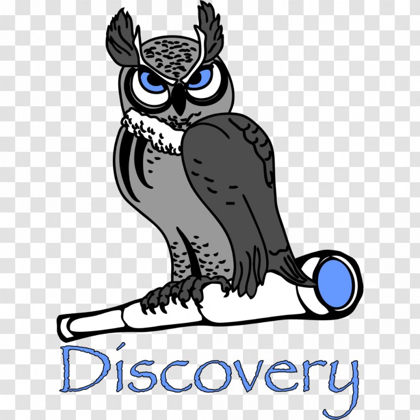 Discovery Charter School - Fauna - Mesa Vista Academy EducationDiscovery Transparent PNG